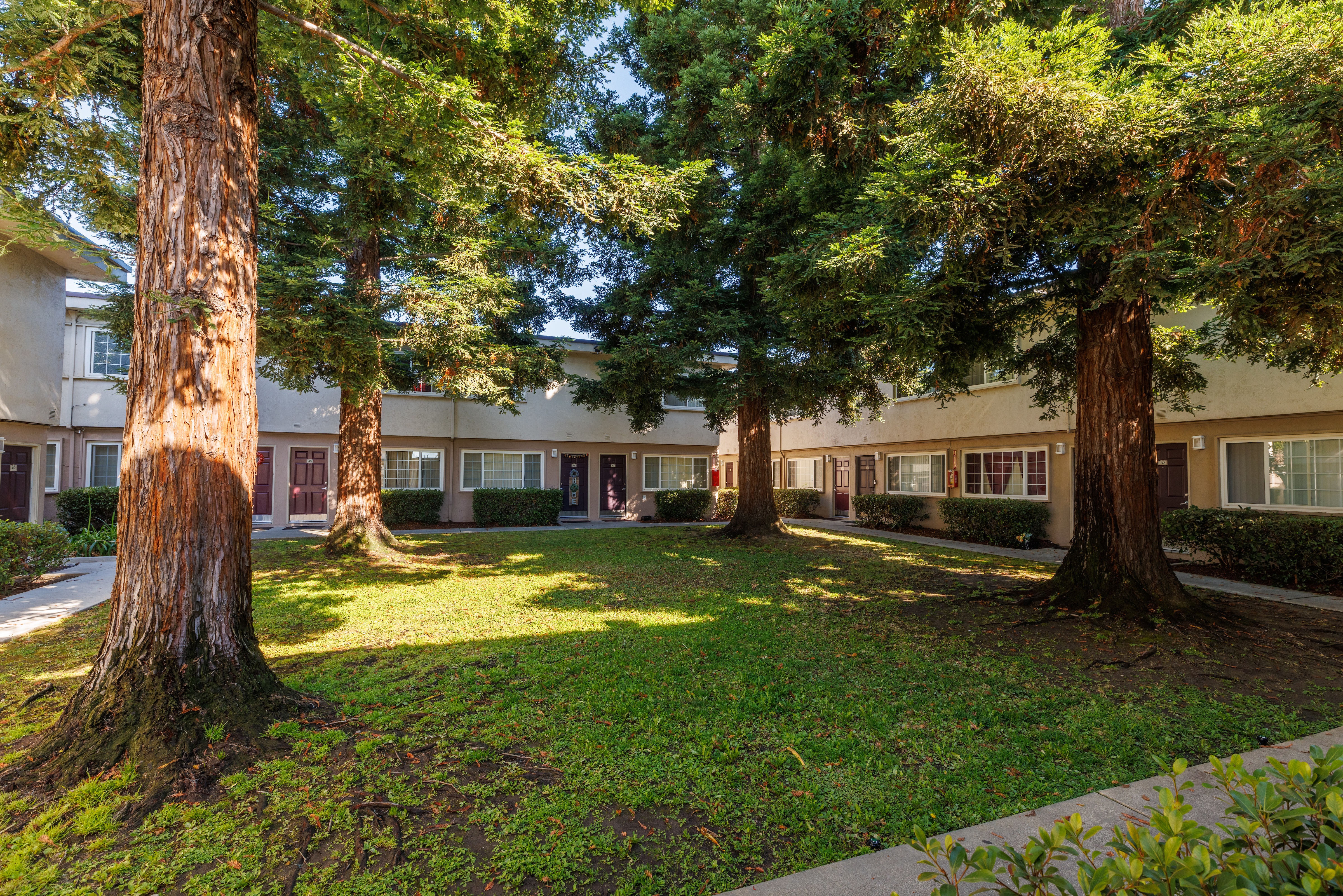 Whitman Villa Townhomes photo 5